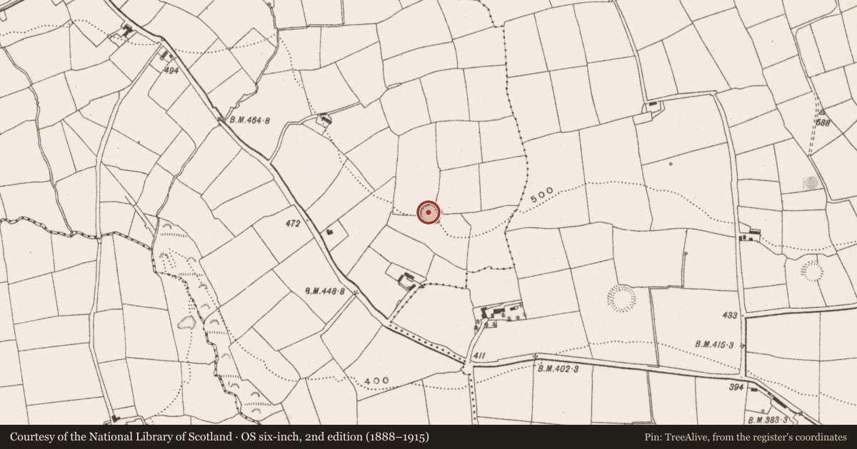 Ordnance Survey six-inch map, 2nd edition (1888–1915) covering the location of Ringfort - rath, Newcestown, County Cork, with a pin at the register's coordinates