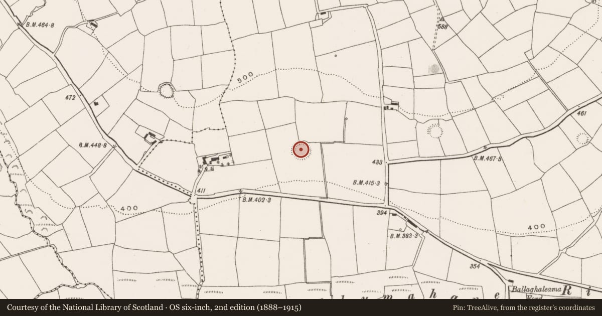 Ordnance Survey six-inch map, 2nd edition (1888–1915) covering the location of Ringfort - rath, Farranalough, County Cork, with a pin at the register's coordinates