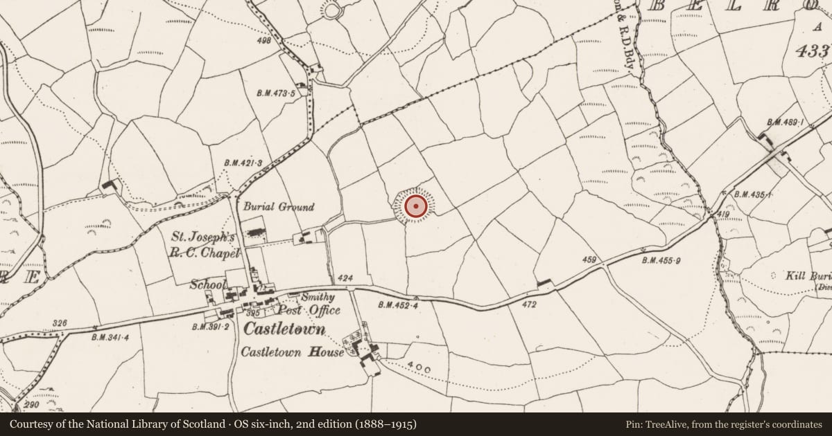 Ordnance Survey six-inch map, 2nd edition (1888–1915) covering the location of Ringfort - rath, Castletown, County Cork, with a pin at the register's coordinates