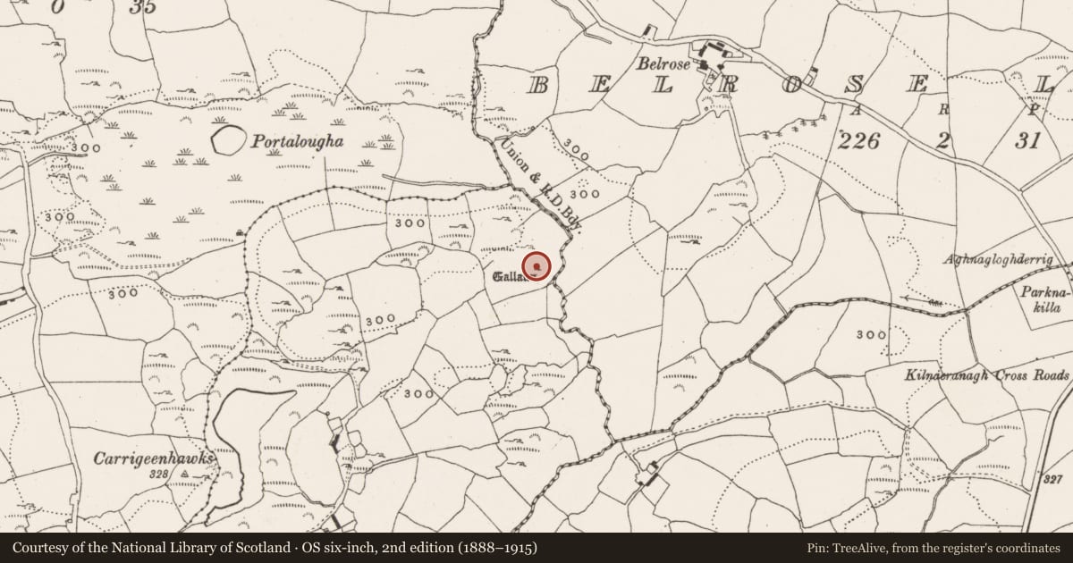Ordnance Survey six-inch map, 2nd edition (1888–1915) covering the location of Standing stone, Clonomara, County Cork, with a pin at the register's coordinates