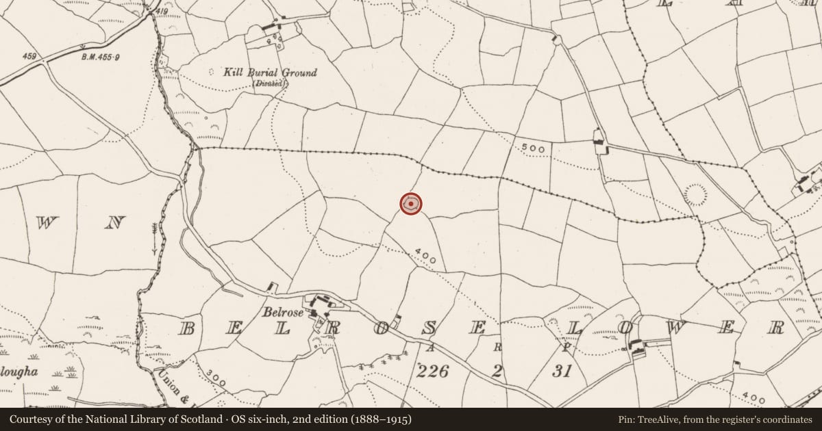 Ordnance Survey six-inch map, 2nd edition (1888–1915) covering the location of Ringfort - rath, Belrose Lower, County Cork, with a pin at the register's coordinates