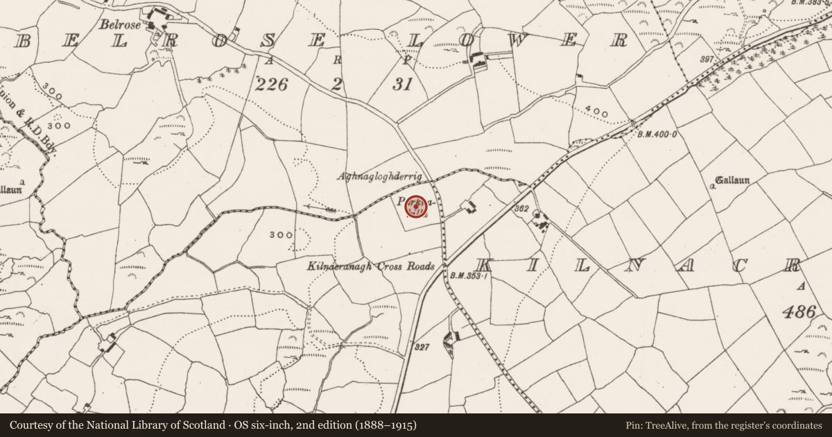 Ordnance Survey six-inch map, 2nd edition (1888–1915) covering the location of Burial ground, Kilnacranagh West, County Cork, with a pin at the register's coordinates