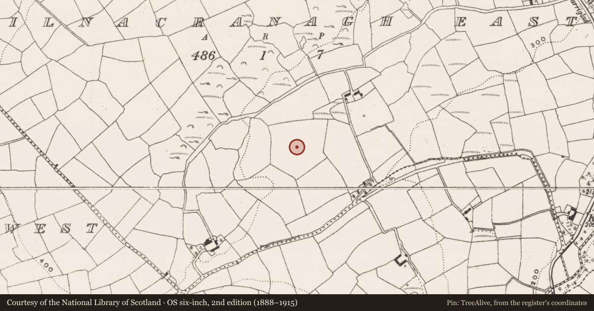 Ordnance Survey six-inch map, 2nd edition (1888–1915) covering the location of Standing stone, Kilnacranagh East, County Cork, with a pin at the register's coordinates