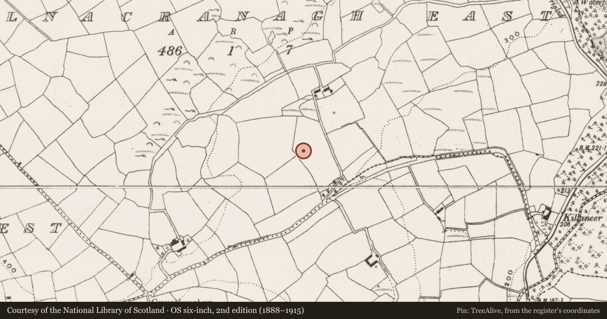 Ordnance Survey six-inch map, 2nd edition (1888–1915) covering the location of Standing stone, Kilnacranagh East, County Cork, with a pin at the register's coordinates
