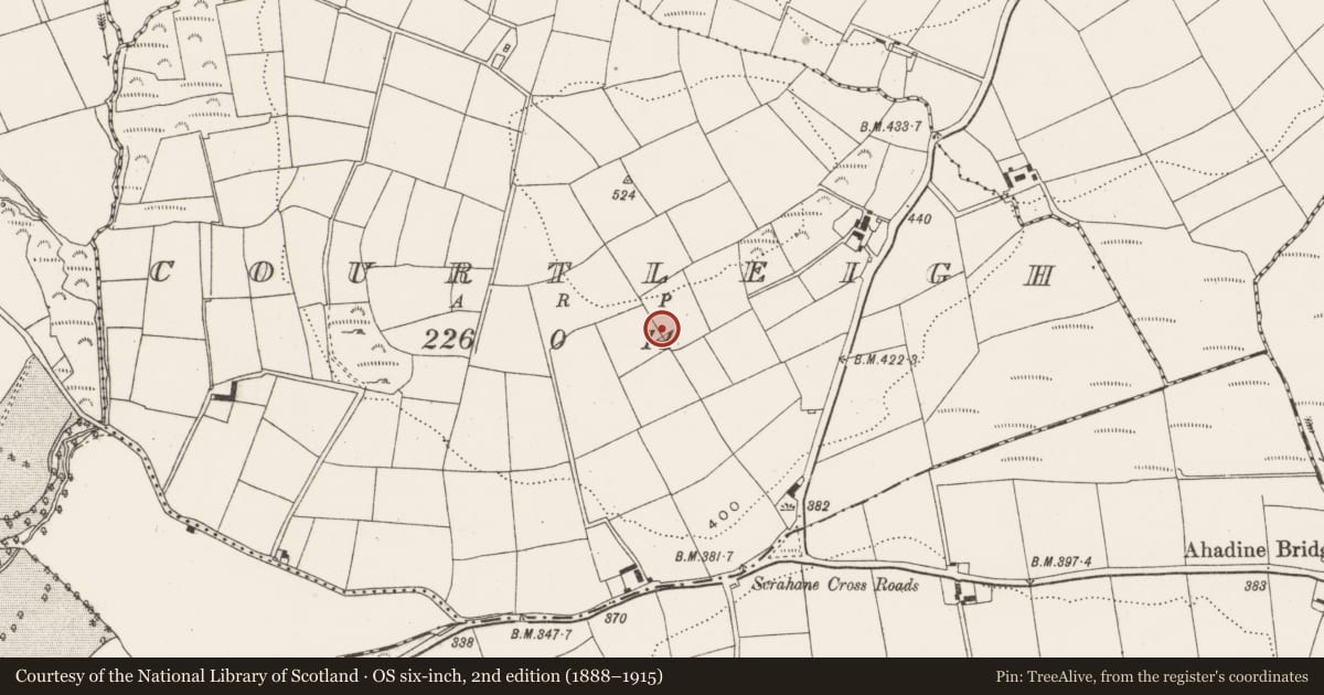 Ordnance Survey six-inch map, 2nd edition (1888–1915) covering the location of Standing stone, Courtleigh, County Cork, with a pin at the register's coordinates