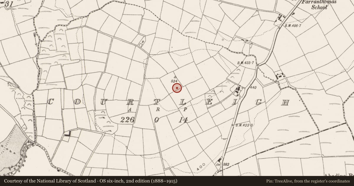 Ordnance Survey six-inch map, 2nd edition (1888–1915) covering the location of Standing stone, Courtleigh, County Cork, with a pin at the register's coordinates