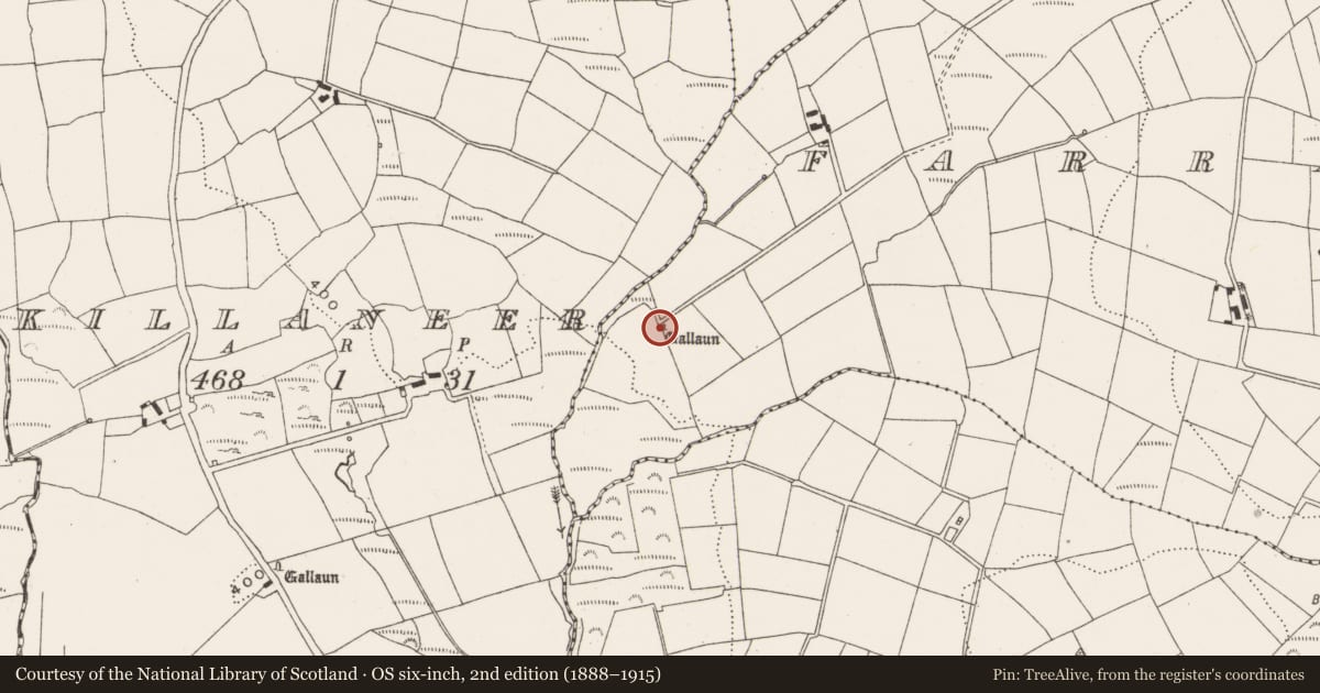 Ordnance Survey six-inch map, 2nd edition (1888–1915) covering the location of Standing stone, Farranthomas, County Cork, with a pin at the register's coordinates