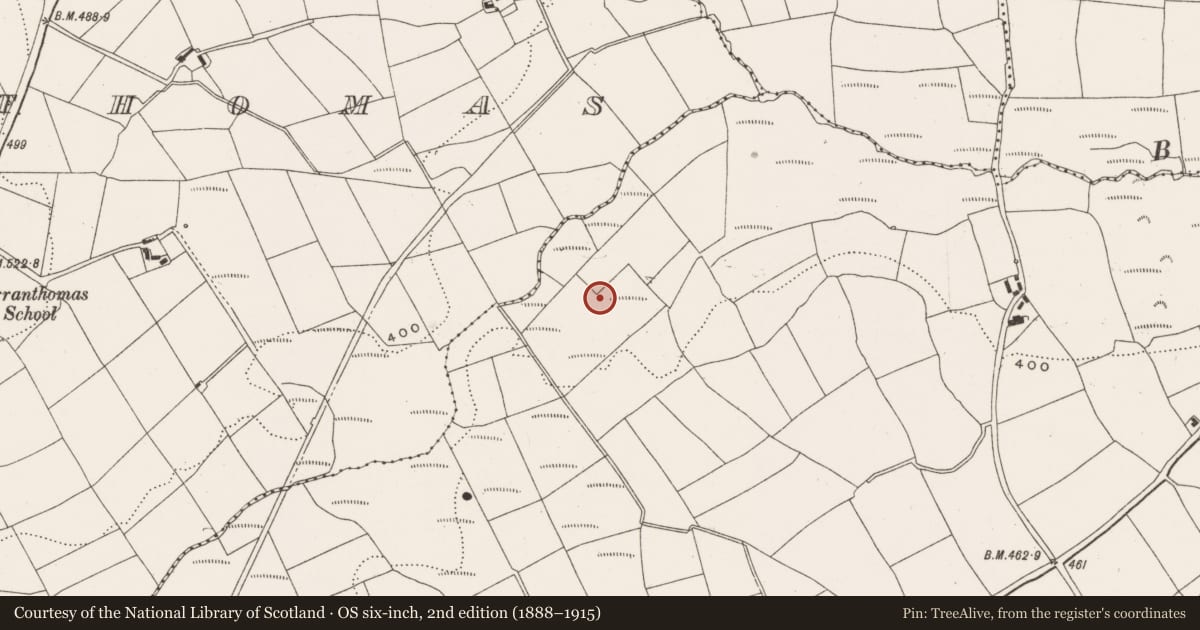 Ordnance Survey six-inch map, 2nd edition (1888–1915) covering the location of Ringfort - cashel, Tullyglass, County Cork, with a pin at the register's coordinates