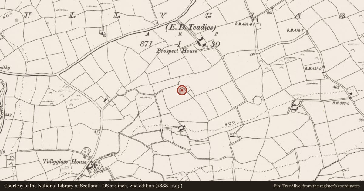 Ordnance Survey six-inch map, 2nd edition (1888–1915) covering the location of Ringfort - rath, Tullyglass, County Cork, with a pin at the register's coordinates