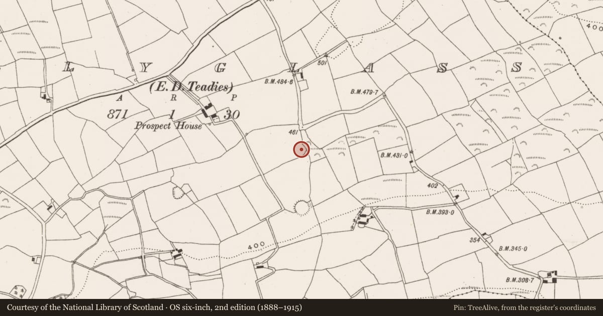 Ordnance Survey six-inch map, 2nd edition (1888–1915) covering the location of Ringfort - rath, Tullyglass, County Cork, with a pin at the register's coordinates