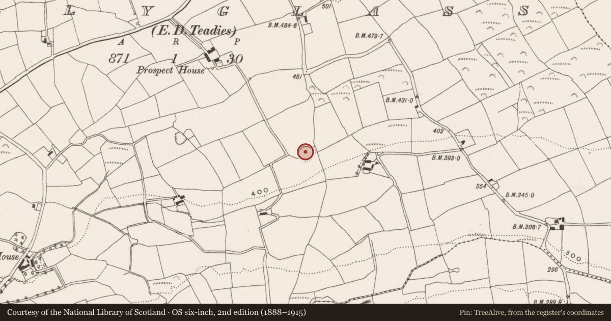 Ordnance Survey six-inch map, 2nd edition (1888–1915) covering the location of Ringfort - rath, Tullyglass, County Cork, with a pin at the register's coordinates