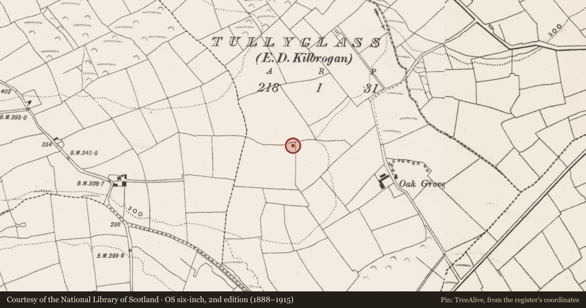 Ordnance Survey six-inch map, 2nd edition (1888–1915) covering the location of Souterrain, Tullyglass, County Cork, with a pin at the register's coordinates