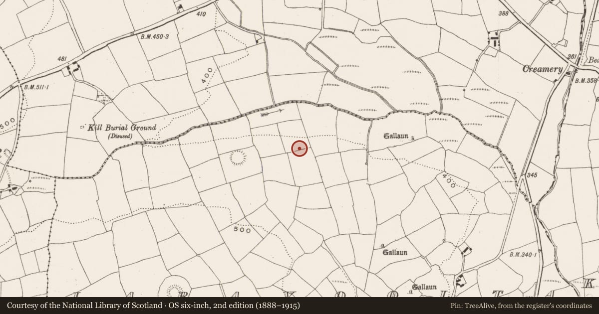 Ordnance Survey six-inch map, 2nd edition (1888–1915) covering the location of Souterrain, Laravoolta, County Cork, with a pin at the register's coordinates
