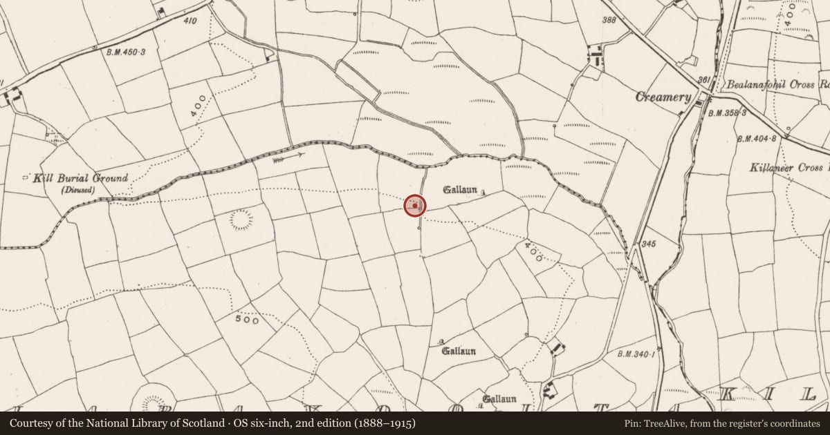 Ordnance Survey six-inch map, 2nd edition (1888–1915) covering the location of Souterrain, Laravoolta, County Cork, with a pin at the register's coordinates
