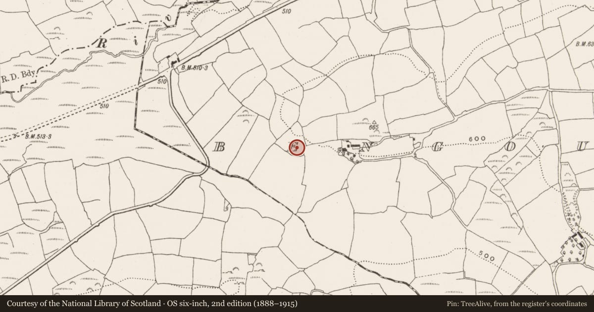 Ordnance Survey six-inch map, 2nd edition (1888–1915) covering the location of Enclosure, Bengour West, County Cork, with a pin at the register's coordinates