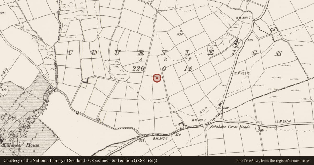 Ordnance Survey six-inch map, 2nd edition (1888–1915) covering the location of Ringfort - rath, Courtleigh, County Cork, with a pin at the register's coordinates