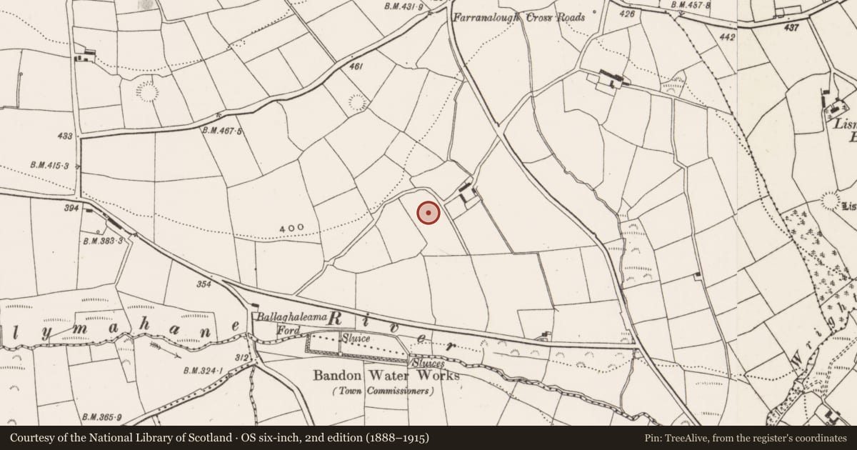 Ordnance Survey six-inch map, 2nd edition (1888–1915) covering the location of Standing stone, Farranalough, County Cork, with a pin at the register's coordinates
