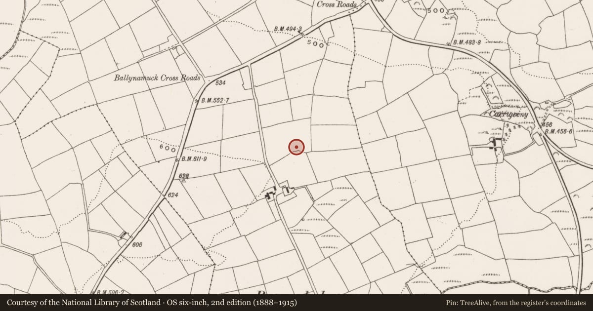 Ordnance Survey six-inch map, 2nd edition (1888–1915) covering the location of Ringfort - rath, Farranalough, County Cork, with a pin at the register's coordinates