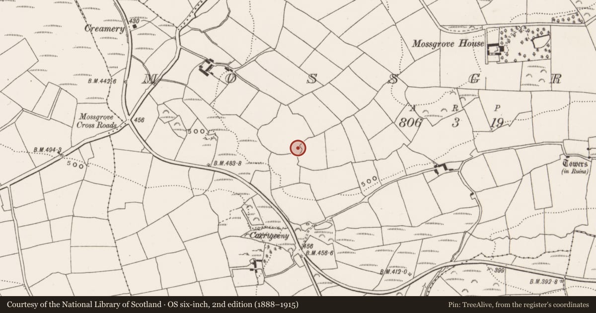 Ordnance Survey six-inch map, 2nd edition (1888–1915) covering the location of Ringfort - rath, Mossgrove, County Cork, with a pin at the register's coordinates