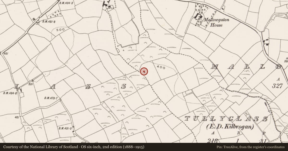 Ordnance Survey six-inch map, 2nd edition (1888–1915) covering the location of Ritual site - holy well, Tullyglass, County Cork, with a pin at the register's coordinates