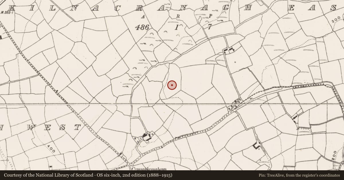 Ordnance Survey six-inch map, 2nd edition (1888–1915) covering the location of Standing stone, Kilnacranagh East, County Cork, with a pin at the register's coordinates