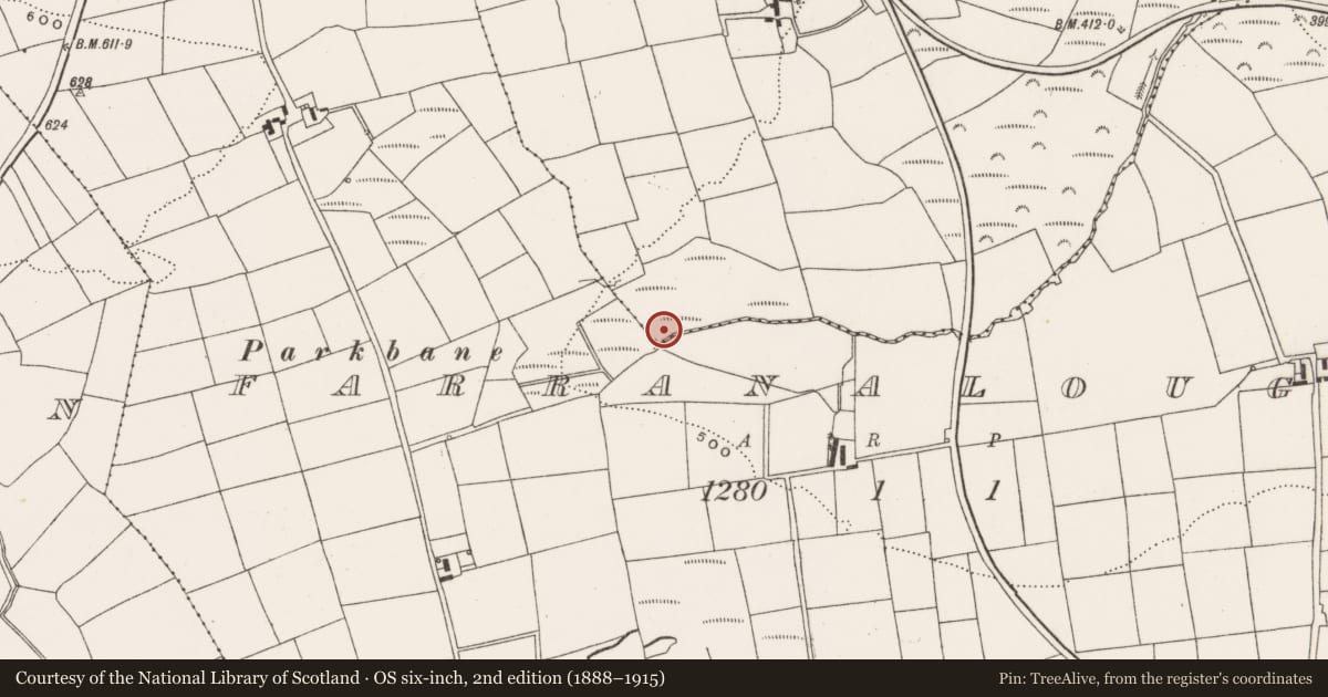 Ordnance Survey six-inch map, 2nd edition (1888–1915) covering the location of Fulacht fia, Mossgrove, County Cork, with a pin at the register's coordinates