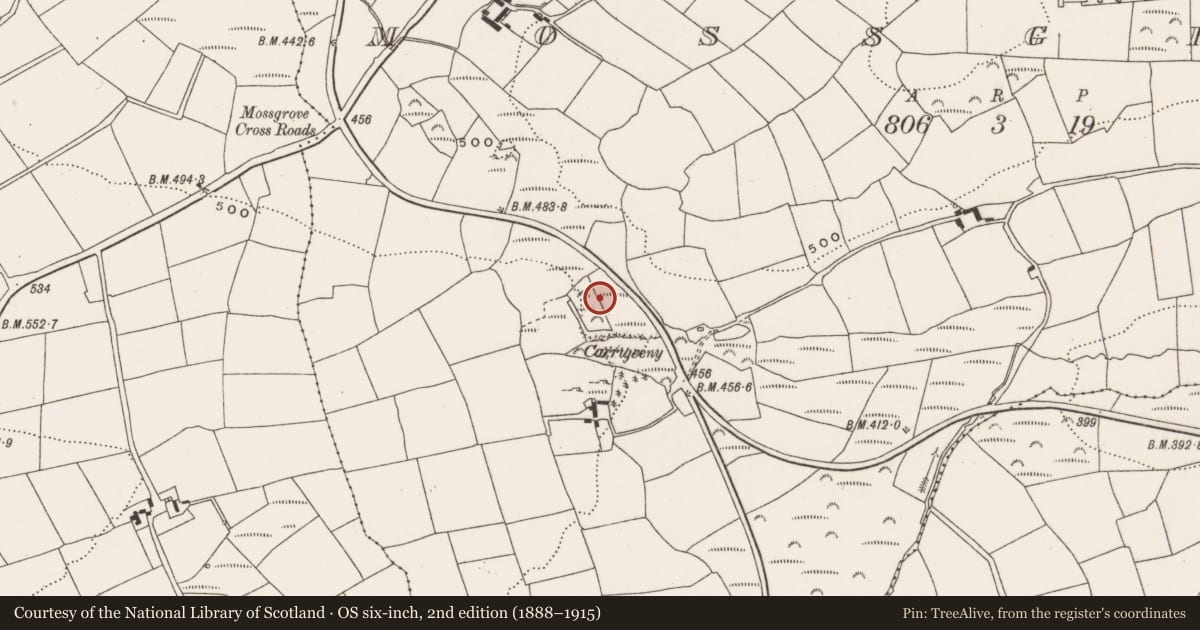 Ordnance Survey six-inch map, 2nd edition (1888–1915) covering the location of Fulacht fia, Mossgrove, County Cork, with a pin at the register's coordinates