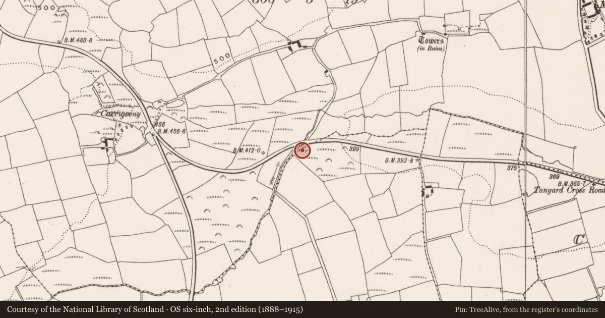 Ordnance Survey six-inch map, 2nd edition (1888–1915) covering the location of Fulacht fia, Farranalough, County Cork, with a pin at the register's coordinates