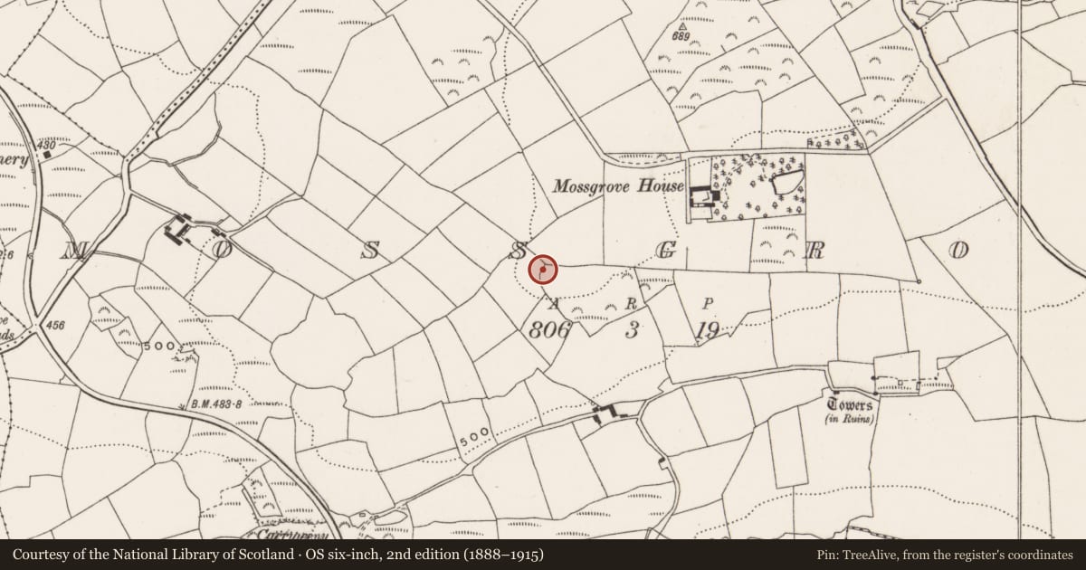 Ordnance Survey six-inch map, 2nd edition (1888–1915) covering the location of Enclosure, Mossgrove, County Cork, with a pin at the register's coordinates