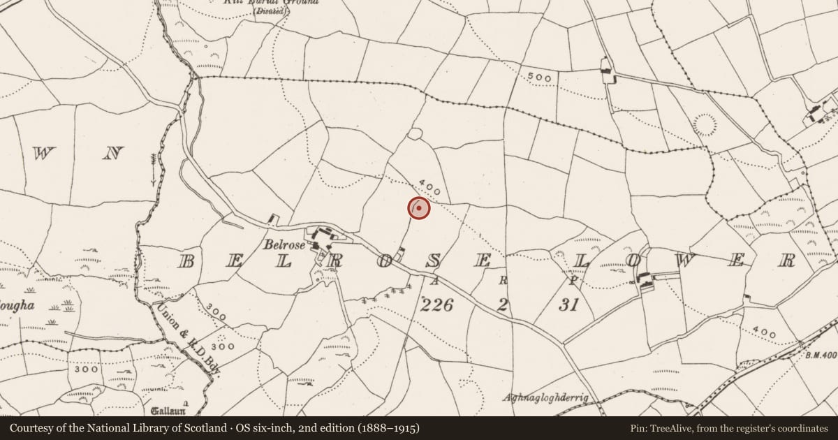 Ordnance Survey six-inch map, 2nd edition (1888–1915) covering the location of Fulacht fia, Belrose Lower, County Cork, with a pin at the register's coordinates
