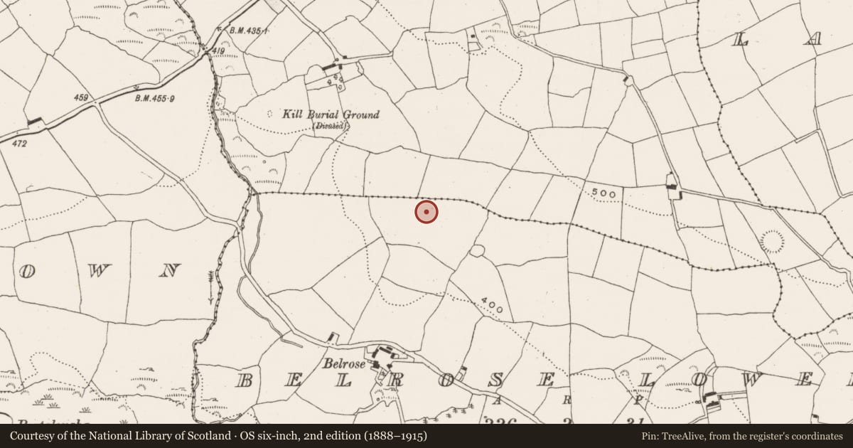 Ordnance Survey six-inch map, 2nd edition (1888–1915) covering the location of Souterrain, Belrose Lower, County Cork, with a pin at the register's coordinates