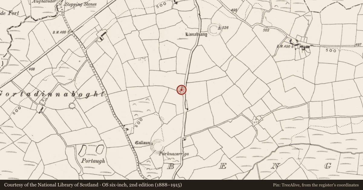 Ordnance Survey six-inch map, 2nd edition (1888–1915) covering the location of Kiln - lime, Bengour East, County Cork, with a pin at the register's coordinates