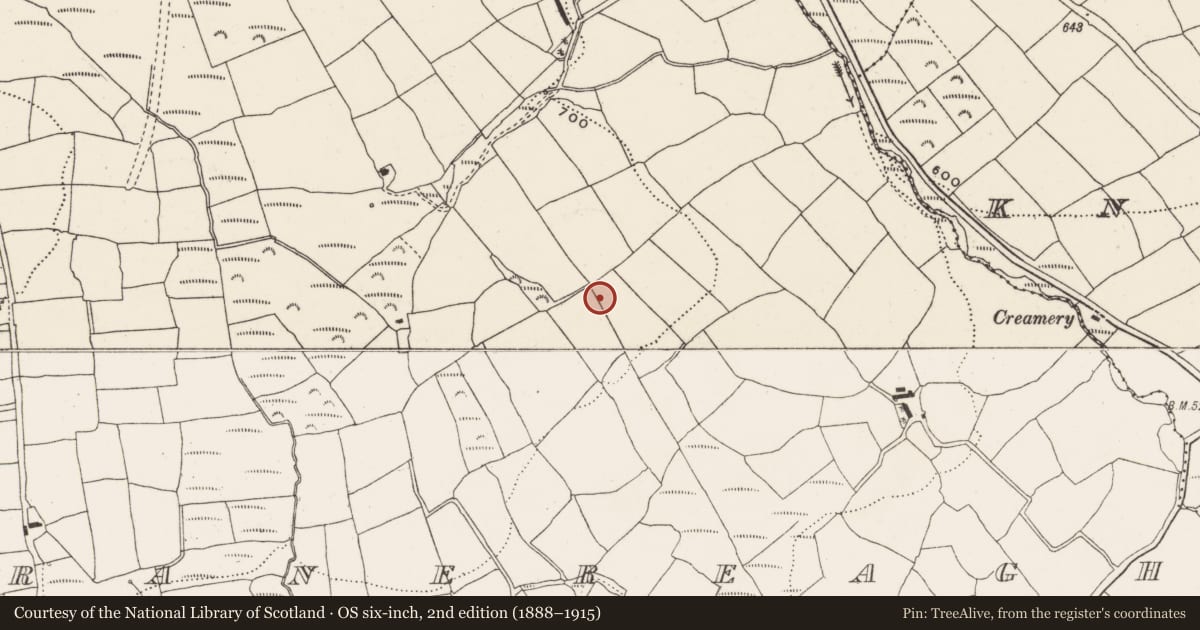 Ordnance Survey six-inch map, 2nd edition (1888–1915) covering the location of Bullaun stone, Garranereagh, County Cork, with a pin at the register's coordinates