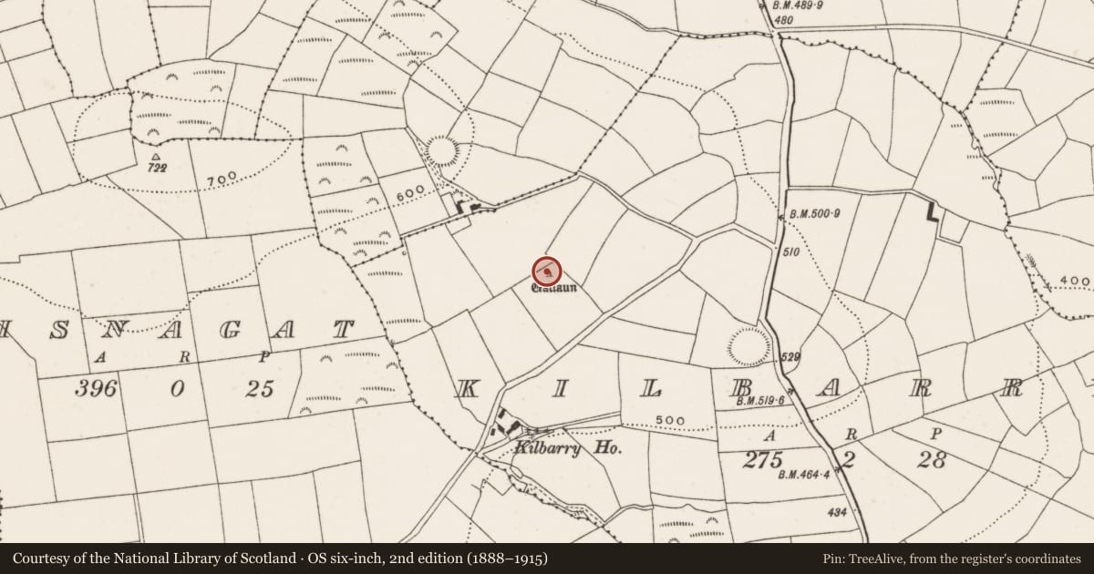 Ordnance Survey six-inch map, 2nd edition (1888–1915) covering the location of Standing stone, Kilbarry, County Cork, with a pin at the register's coordinates