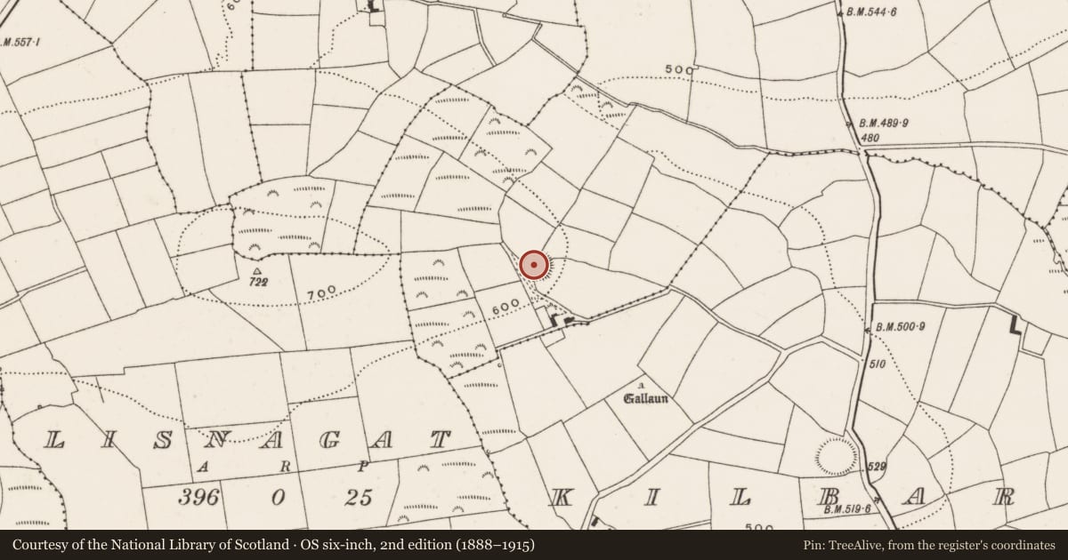 Ordnance Survey six-inch map, 2nd edition (1888–1915) covering the location of Ringfort - rath, Scarriff, County Cork, with a pin at the register's coordinates