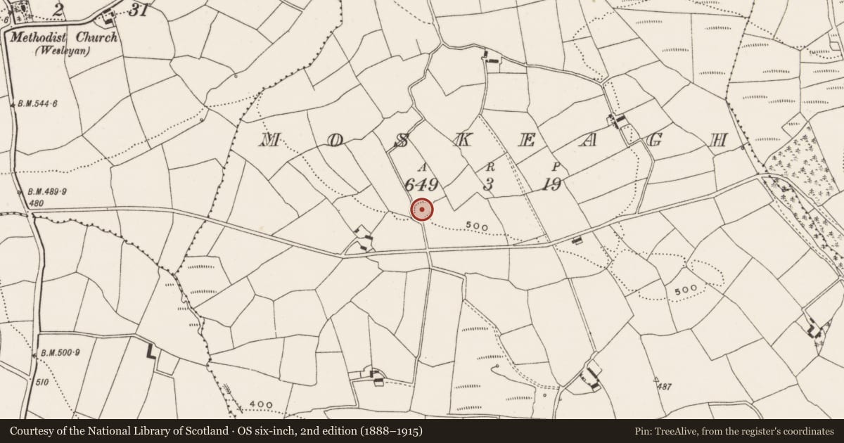 Ordnance Survey six-inch map, 2nd edition (1888–1915) covering the location of Souterrain, Moskeagh, County Cork, with a pin at the register's coordinates