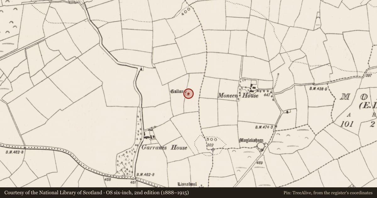 Ordnance Survey six-inch map, 2nd edition (1888–1915) covering the location of Boulder-burial, Garranes, County Cork, with a pin at the register's coordinates