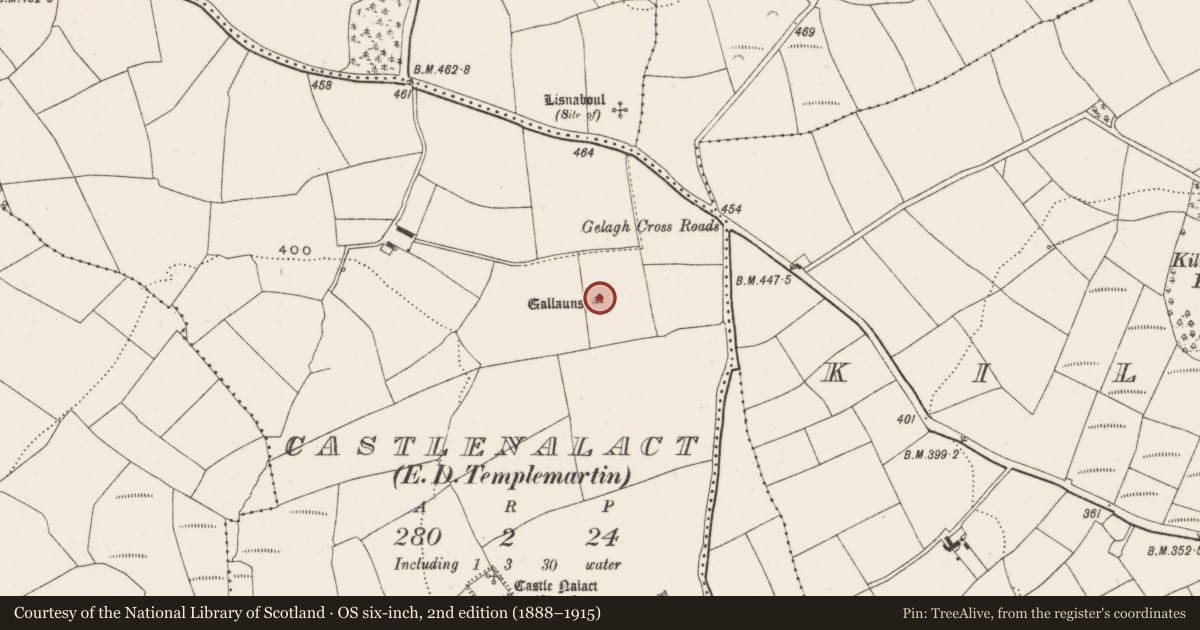 Ordnance Survey six-inch map, 2nd edition (1888–1915) covering the location of Boulder-burial, Castlenalact (Kinalmeaky By., Templemartin Par.), County Cork, with a pin at the register's coordinates