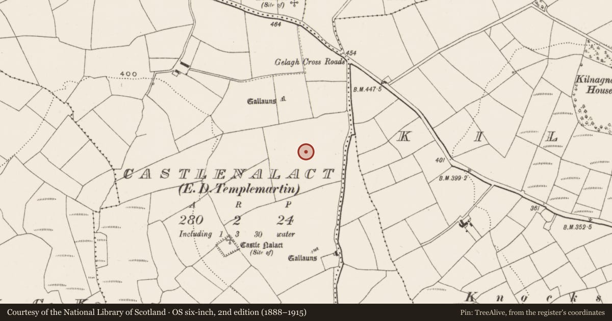 Ordnance Survey six-inch map, 2nd edition (1888–1915) covering the location of Standing stone, Castlenalact (Kinalmeaky By., Templemartin Par.), County Cork, with a pin at the register's coordinates