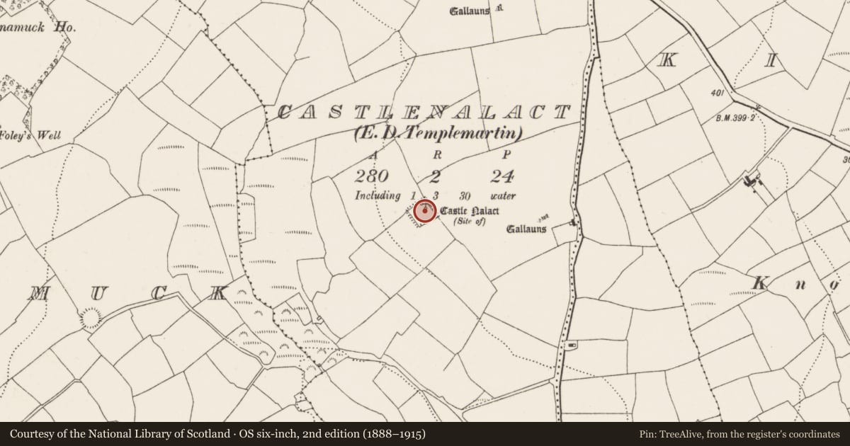 Ordnance Survey six-inch map, 2nd edition (1888–1915) covering the location of Moated site, Castlenalact (Kinalmeaky By., Templemartin Par.), County Cork, with a pin at the register's coordinates