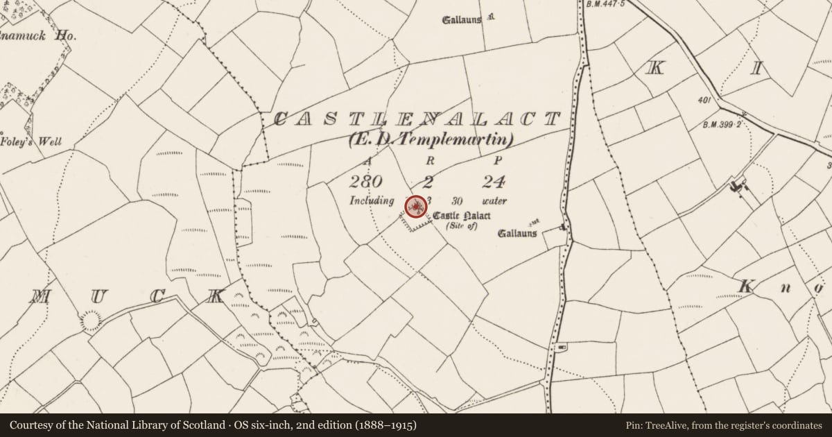 Ordnance Survey six-inch map, 2nd edition (1888–1915) covering the location of Castle - unclassified, Castlenalact (Kinalmeaky By., Templemartin Par.), County Cork, with a pin at the register's coordinates