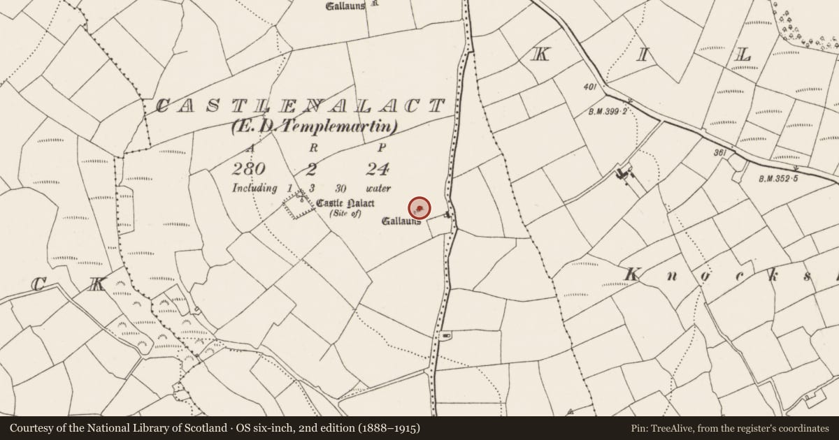 Ordnance Survey six-inch map, 2nd edition (1888–1915) covering the location of Stone row, Castlenalact (Kinalmeaky By., Templemartin Par.), County Cork, with a pin at the register's coordinates