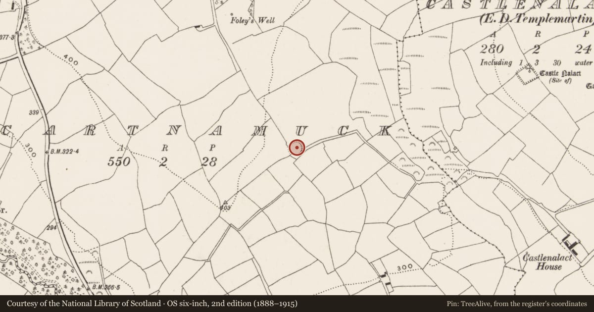 Ordnance Survey six-inch map, 2nd edition (1888–1915) covering the location of Ringfort - rath, Scartnamuck, County Cork, with a pin at the register's coordinates