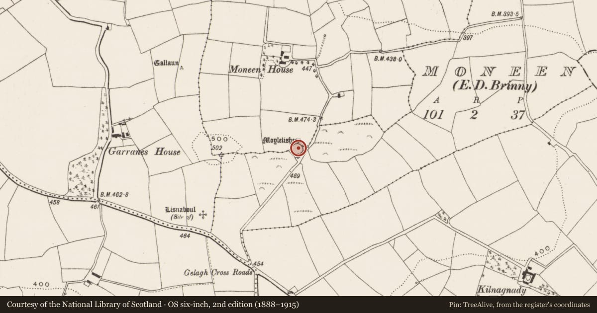 Ordnance Survey six-inch map, 2nd edition (1888–1915) covering the location of Souterrain, Moneen (Kinalmeaky By., Brinny Par.), County Cork, with a pin at the register's coordinates