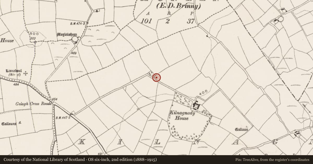 Ordnance Survey six-inch map, 2nd edition (1888–1915) covering the location of Souterrain, Kilnagnady, County Cork, with a pin at the register's coordinates