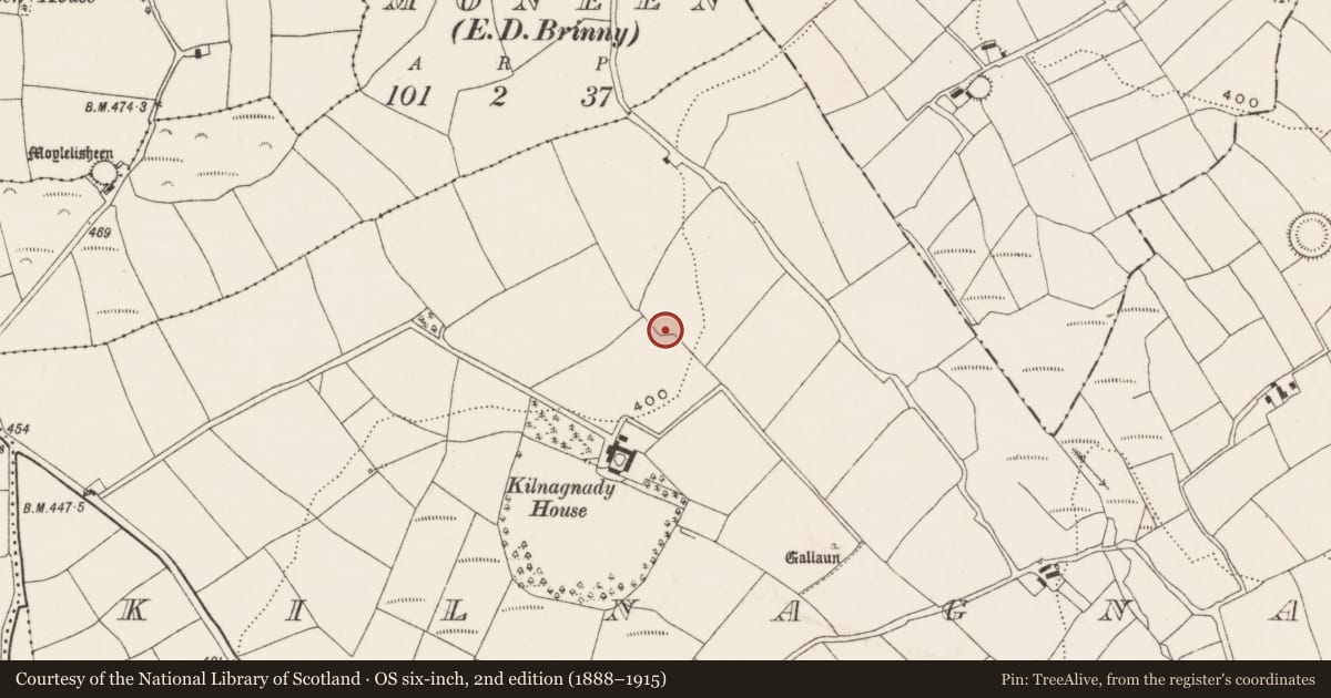 Ordnance Survey six-inch map, 2nd edition (1888–1915) covering the location of Ringfort - rath, Kilnagnady, County Cork, with a pin at the register's coordinates
