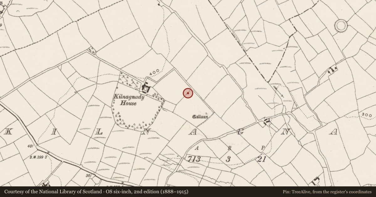 Ordnance Survey six-inch map, 2nd edition (1888–1915) covering the location of Ringfort - rath, Kilnagnady, County Cork, with a pin at the register's coordinates