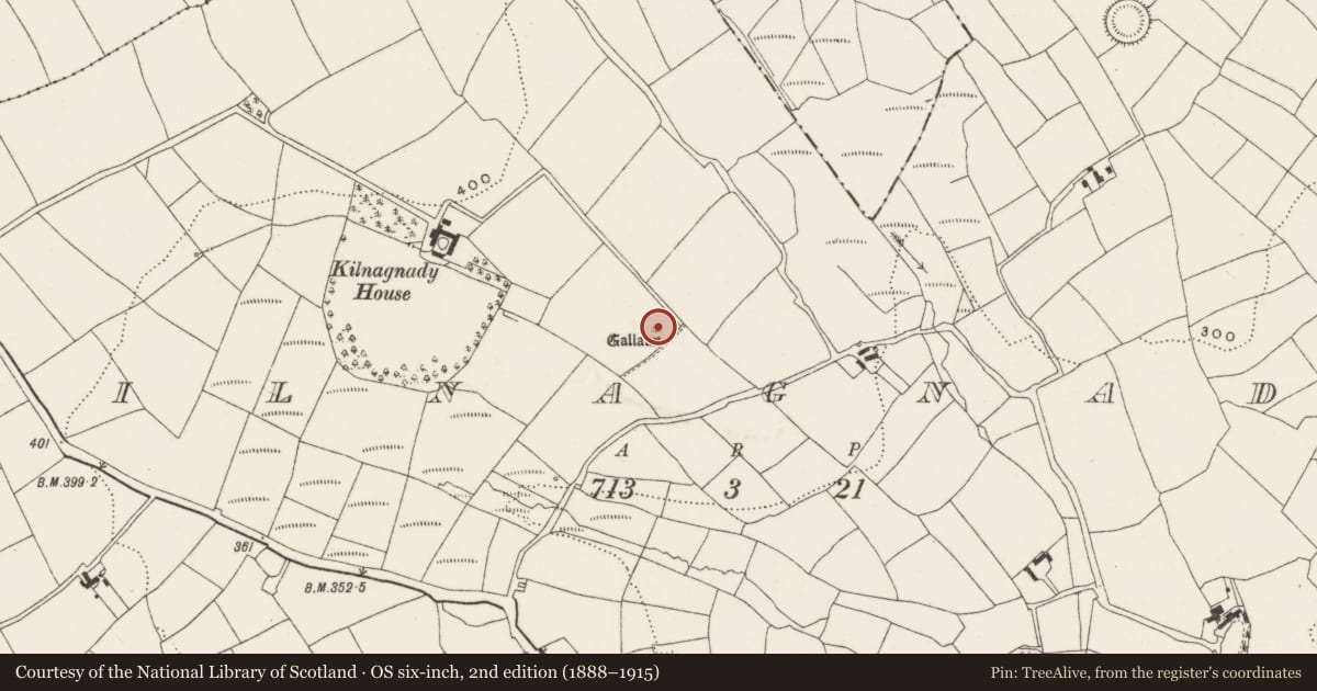 Ordnance Survey six-inch map, 2nd edition (1888–1915) covering the location of Standing stone, Kilnagnady, County Cork, with a pin at the register's coordinates