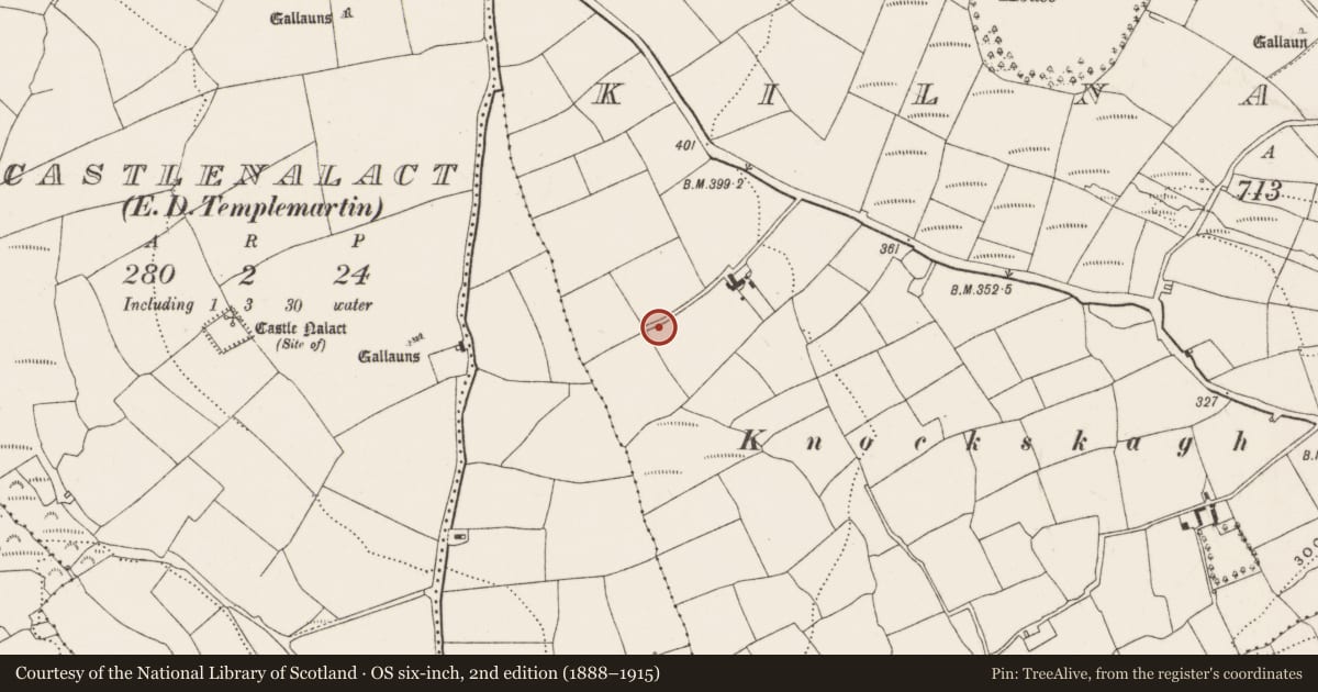 Ordnance Survey six-inch map, 2nd edition (1888–1915) covering the location of Inscribed stone, Kilnagnady, County Cork, with a pin at the register's coordinates