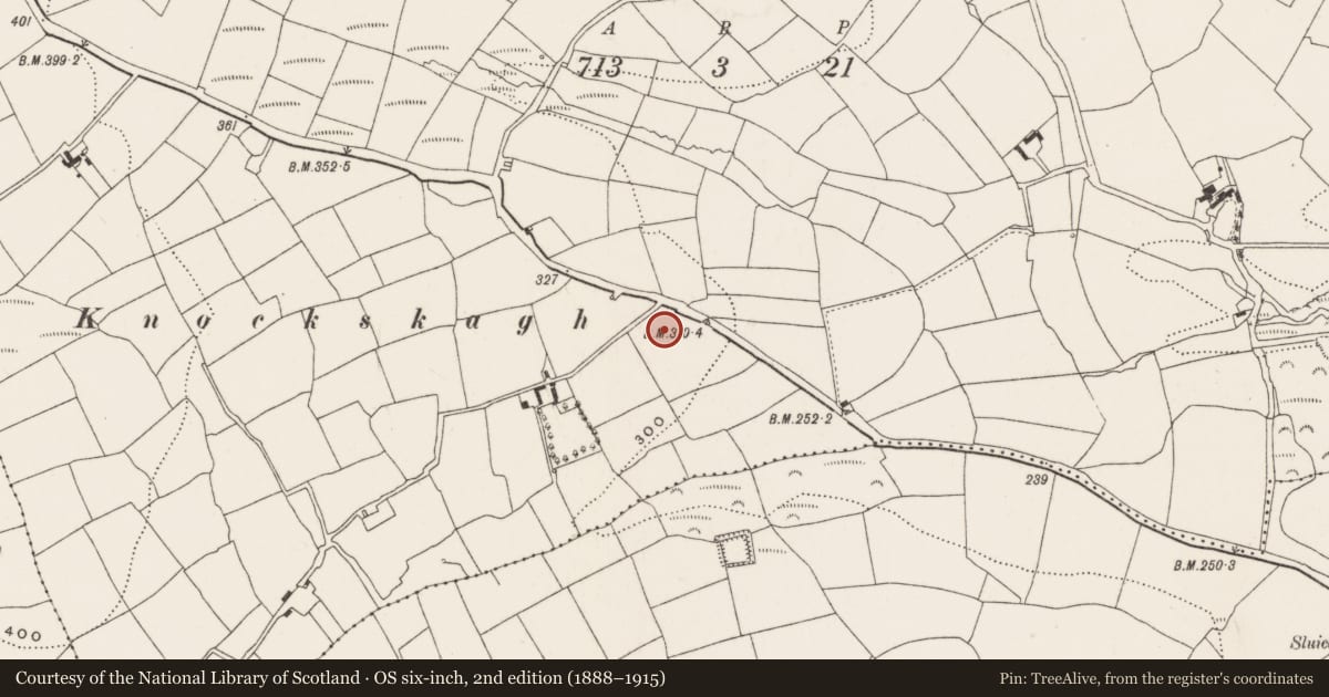 Ordnance Survey six-inch map, 2nd edition (1888–1915) covering the location of Standing stone, Kilnagnady, County Cork, with a pin at the register's coordinates